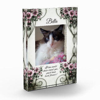 Als liefde je had kunnen redden... fotoblok. fotoblokken