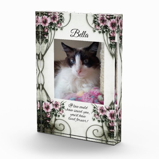 Als liefde je had kunnen redden... fotoblok. fotoblokken (Rechts)