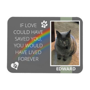 Als Liefde je Pet Memorial had kunnen redden Magneet