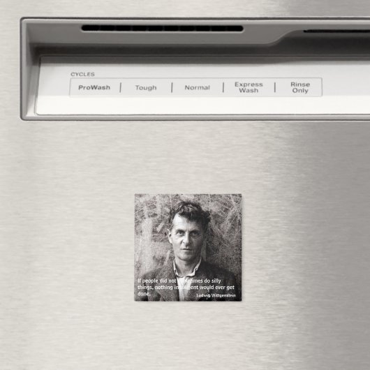 Als mensen dat soms niet deden... magneet (Insitu (Vaatwasser))