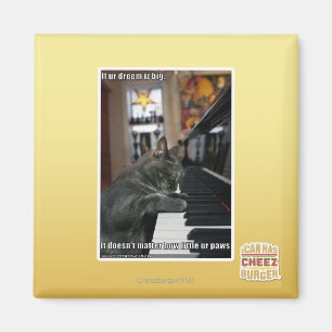 Als onze droom groot is magneet