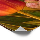  als pacock poster (Hoek)