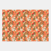 als perzik, perzik fuzz thema cadeau inpakpapier vel (Voorkant)