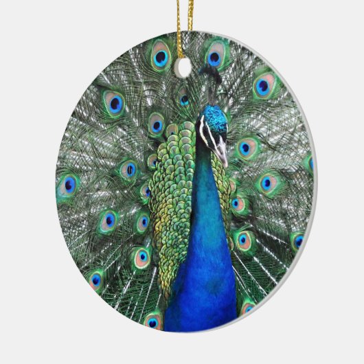 Als Proud als Peacock Keramisch Ornament (Links)