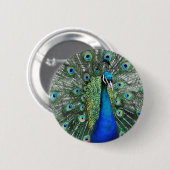Als Proud als Peacock Ronde Button 5,7 Cm (Voorkant /achterkant)