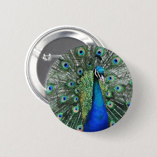 Als Proud als Peacock Ronde Button 5,7 Cm (Voorkant /achterkant)