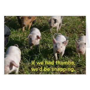 Als we duimen hadden