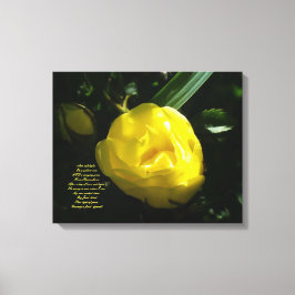 Als zacht licht op een gele roos canvas afdruk