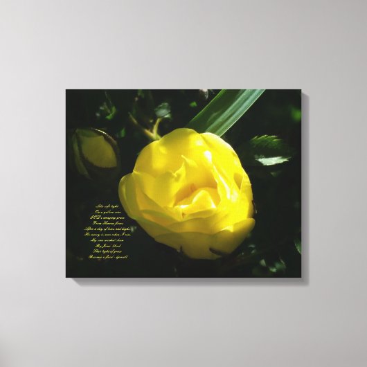 Als zacht licht op een gele roos canvas afdruk (Voorkant)
