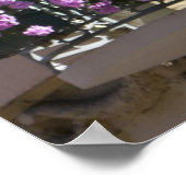 Alsace, Frankrijk 2 Poster (Hoek)