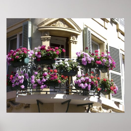 Alsace, Frankrijk 2 Poster (Voorkant)