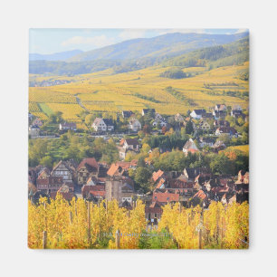 Alsace, Frankrijk 6 Magneet