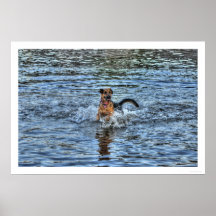 Alsatiaans Poster Shepherd 1 Dog-lover