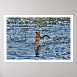 Alsatiaans Poster Shepherd 1 Dog-lover