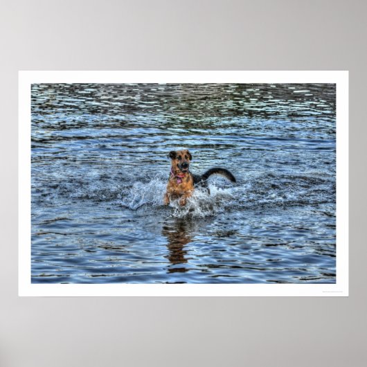 Alsatiaans Poster Shepherd 1 Dog-lover (Voorkant)