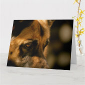 Alsatian Emomomotizdag Kaart (Gele Bloem)