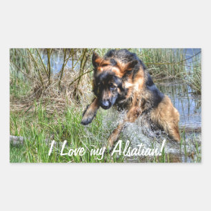 Alsatian Plush German Shepherd 5 Dog lover Gift Rechthoekige Sticker