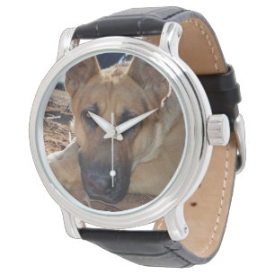 Alsatian Sleepy Entitlement, Horloge