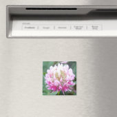 Alsike Clover Blossom 1 magneet (Insitu (Vaatwasser))