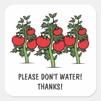 Alsjeblieft geen waterstickers - Tomatos Vierkante Sticker
