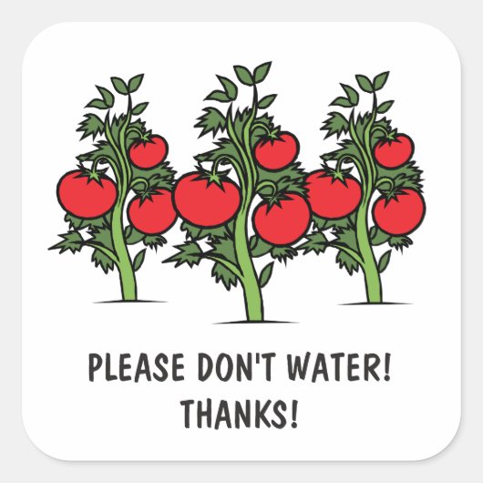 Alsjeblieft geen waterstickers - Tomatos Vierkante Sticker (Voorkant)