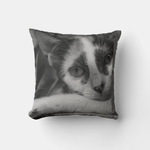 Alsjeblieft Kitty Kussen