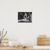 Alsjeblieft Kitty Poster (Keuken)