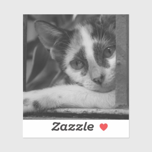 Alsjeblieft Kitty Sticker (Vel)