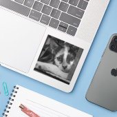 Alsjeblieft Kitty Sticker (Laptop met iPhone)