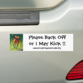 Alsjeblieft, terug of ik kan me vermoorden! bumpersticker (Op auto)