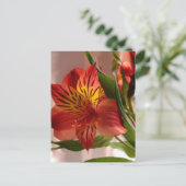 Alstroemeria Autumn Briefkaart (Staand voorkant)