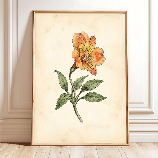Alstroemeria Botanisch Canvas Muur Kunst Poster