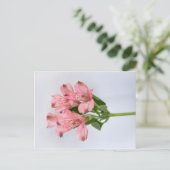 Alstroemeria Flowers Briefkaart (Staand voorkant)