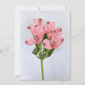 Alstroemeria Flowers Kaart (Voorkant)