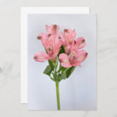 Alstroemeria Flowers Kaart (Voorkant / Achterkant)