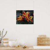 Alstroemeria Flowers Poster (Keuken)