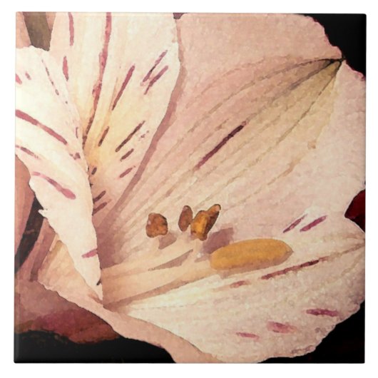 Alstroemeria in bloei tegeltje (Voorkant)