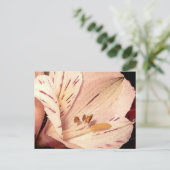 Alstroemeria in bloom briefkaart (Staand voorkant)