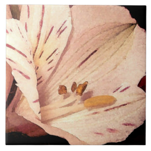 Alstroemeria in bloom tegeltje