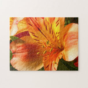 Alstroemeria in Oranje legpuzzel