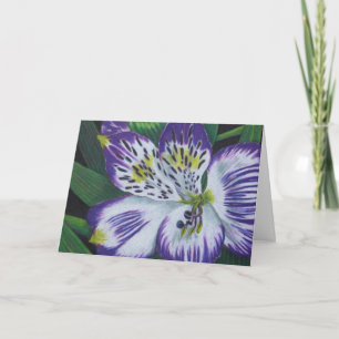 Alstroemeria Kaart