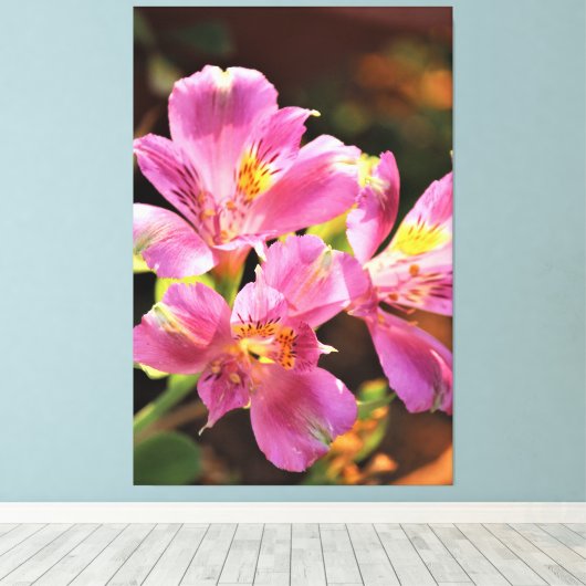 Alstroemeria Lilly Stunning Floral Bold Pink Canvas Afdruk (Insitu (Houten vloer))