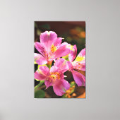 Alstroemeria Lilly Stunning Floral Bold Pink Canvas Afdruk (Voorkant)