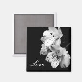 Alstroemeria Lily Love Magnet (Voorkant / Achterkant)