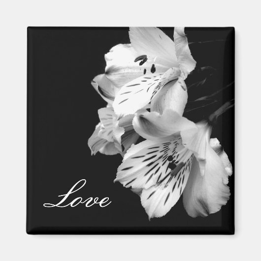 Alstroemeria Lily Love Magnet (Voorkant)