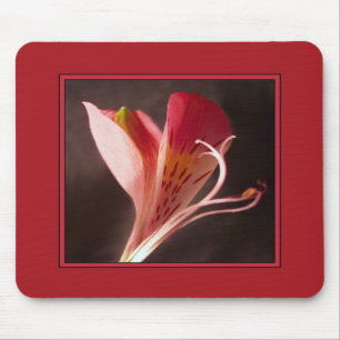 Alstroemeria Mousepad Muismat