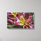 Alstroemeria Peruaanse Lelie bloem Canvas Print (Voorkant)