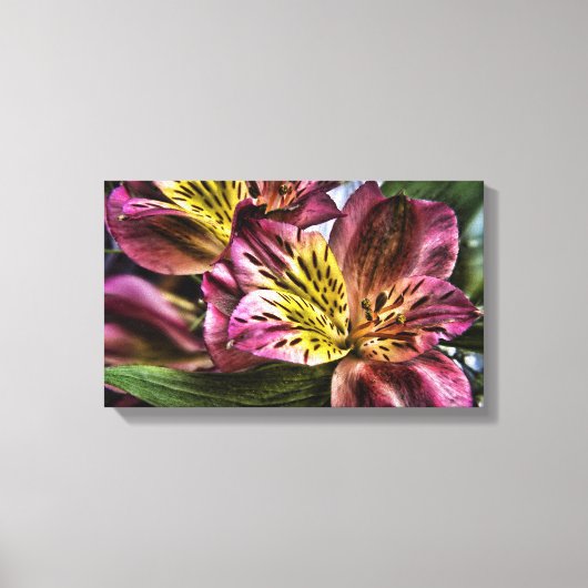 Alstroemeria Peruaanse Lelie bloem Canvas Print (Voorkant)