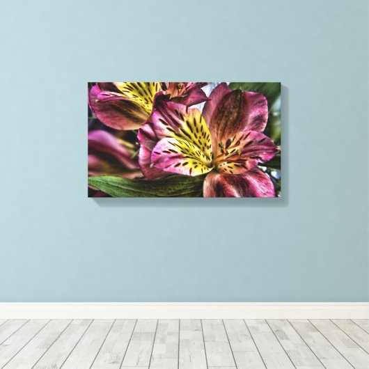 Alstroemeria Peruaanse Lelie bloem Canvas Print (Insitu (Houten vloer))
