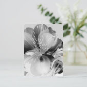 Alstroemeria Peruvian Lily Flower in Black & White Briefkaart (Staand voorkant)